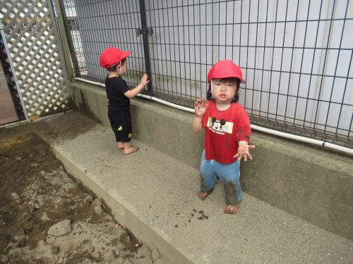 IMG 3800 (1)