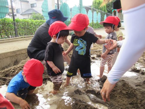 IMG 3804 (1)