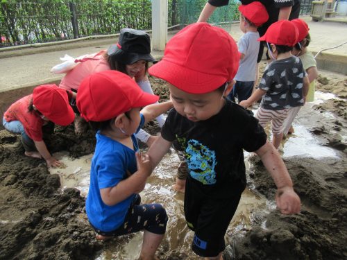 IMG 3807 (1)