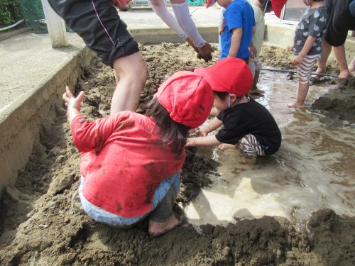 IMG 3810 (1)