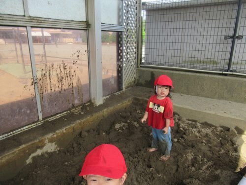 IMG 3818 (1)