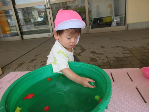 IMG 4507