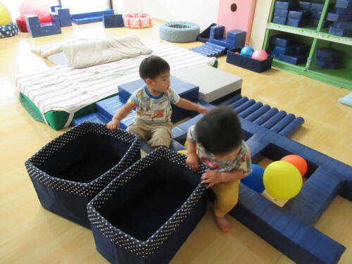 IMG 4962